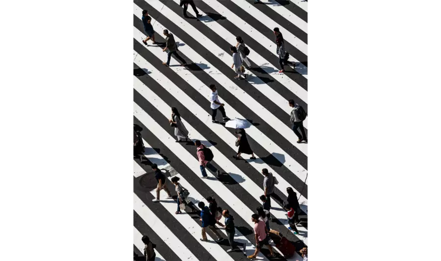 WHO's Global Report on Urban Health preview image